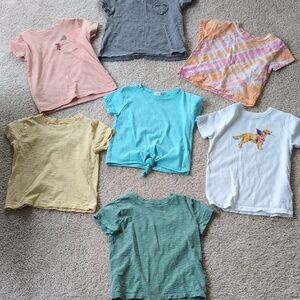 Crewcuts Pink and Gray Short Sleeve Tee